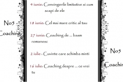 No5 Coaching :  18 iunie - 20 august  2014 